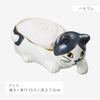 ソープディッシュ(猫).|s8